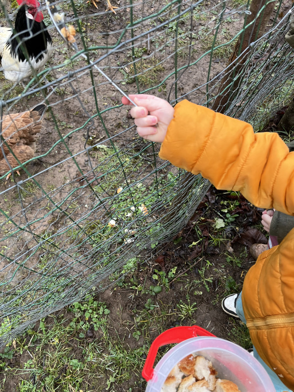 Micro-Crèche Les Chérubins d'Angèle