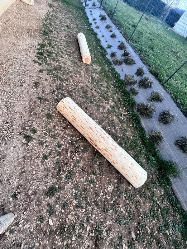Micro-Crèche Les Chérubins d'Angèle