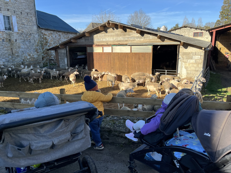 Micro-Crèche Les Chérubins d'Angèle