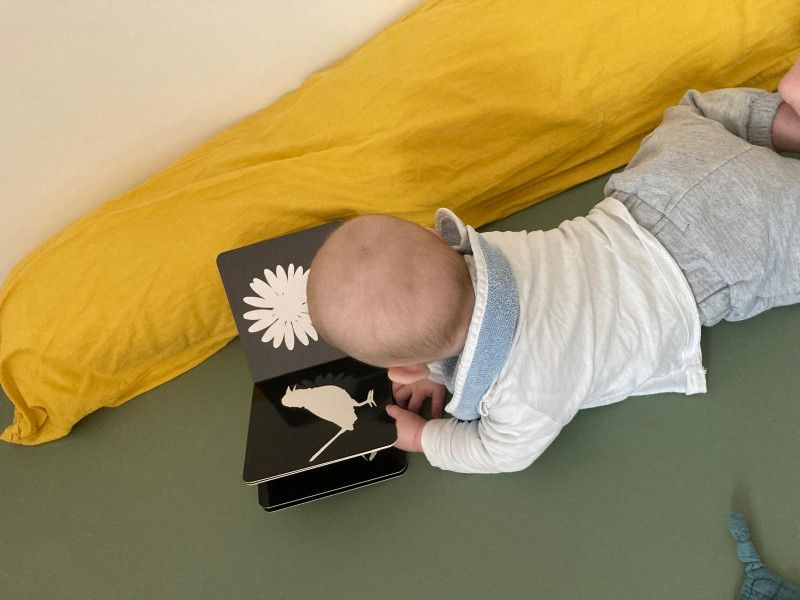 Micro-crèche Le Hibou des Chérubins